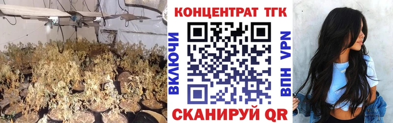 omg как зайти  Бавлы  Дистиллят ТГК вейп с тгк  где найти наркотики 